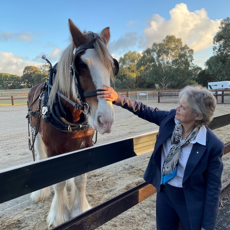 Her at the stables